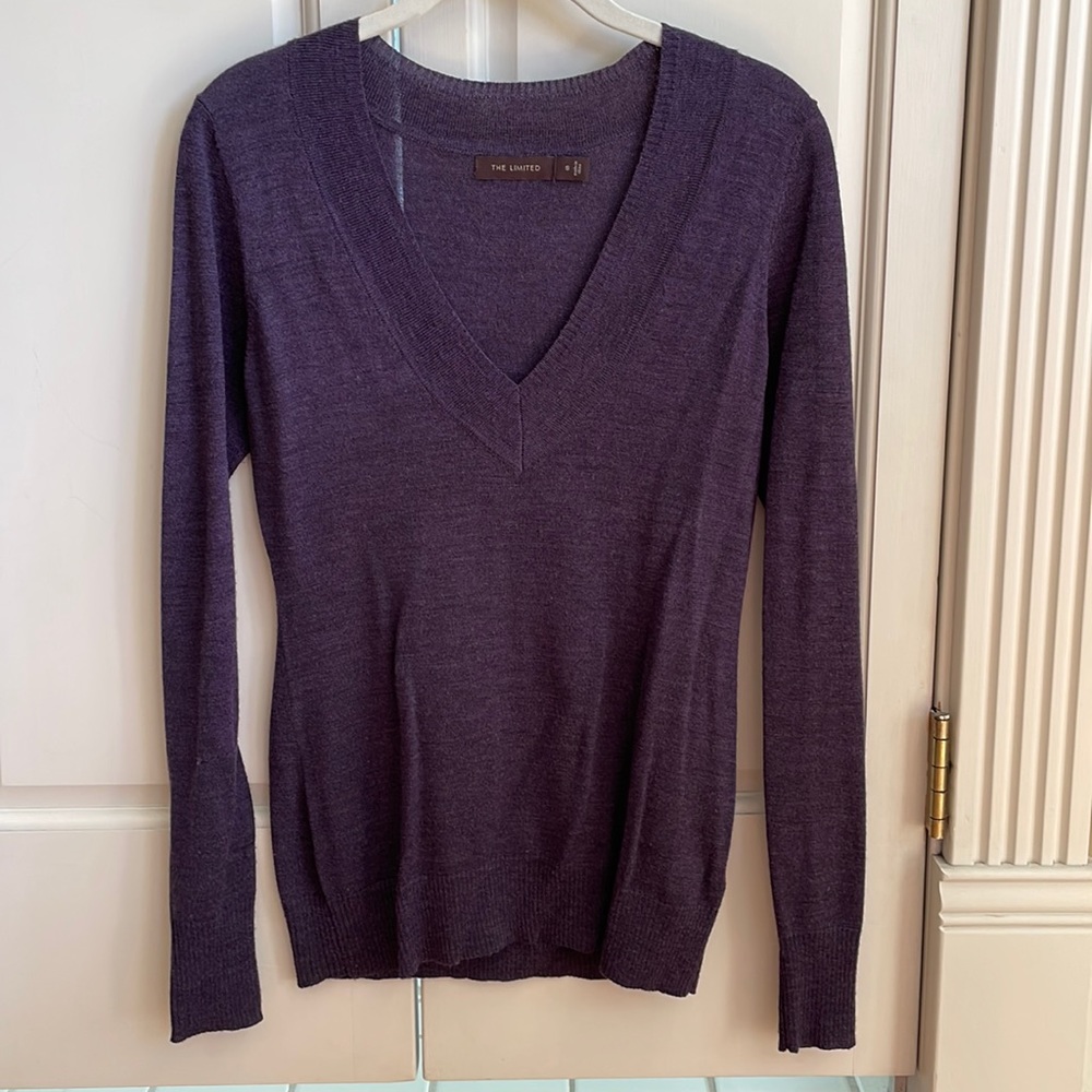 💜The Limited plum v neck sweater💜